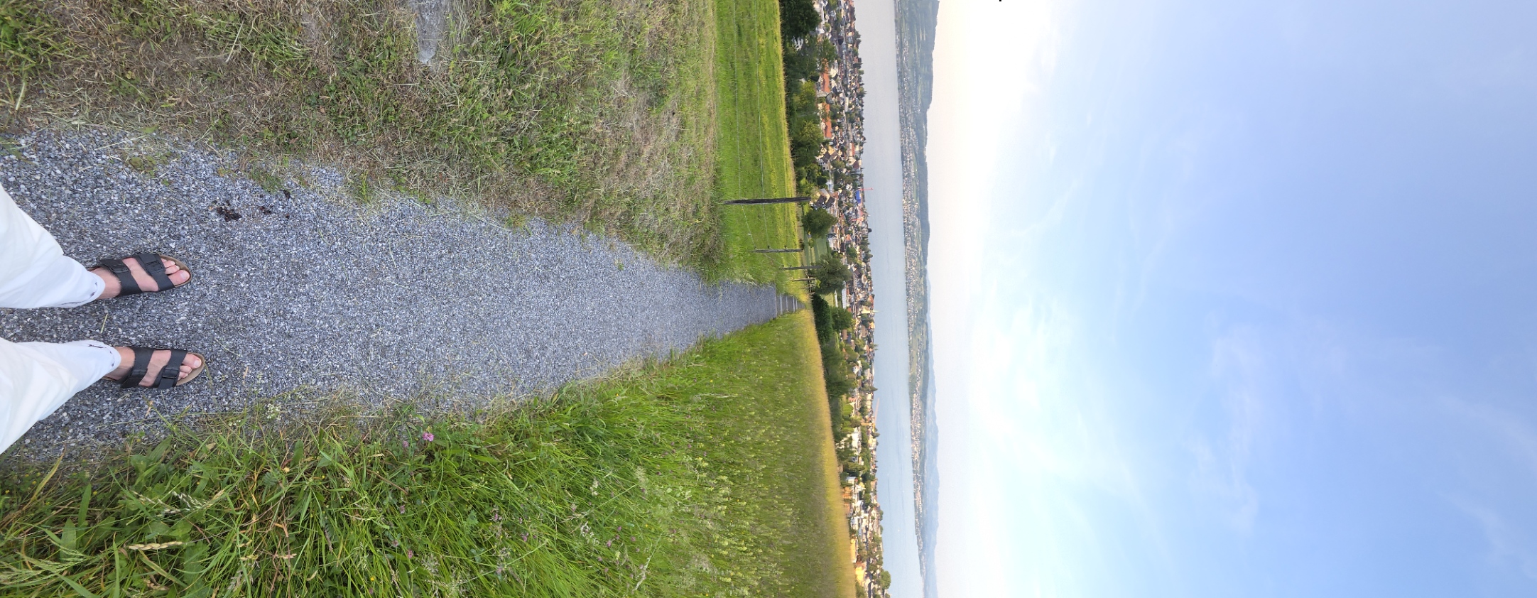 Urs Zweifel